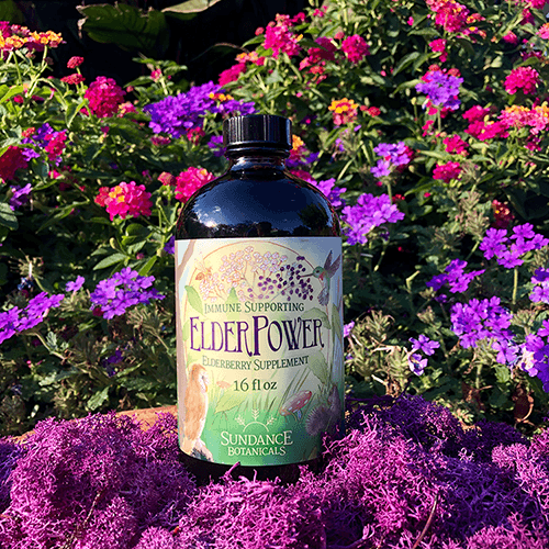 ElderPower® Elderberry Syrup 16 oz