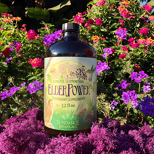 ElderPower® Elderberry Syrup 32 oz