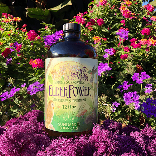 Sundance Botanicals ElderPower Elderberry 32oz Bottle Floral BG