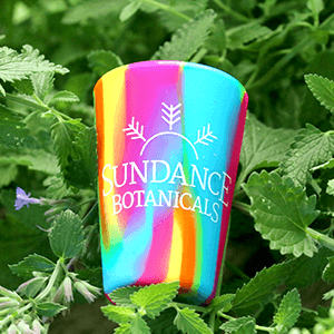 Sundance Botanicals Shot Glass 300×300 Close Up (min)